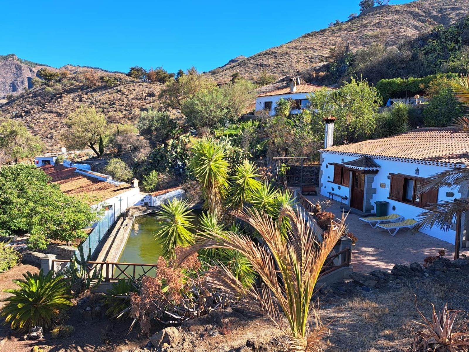 Finca La Isa By Rose Casas Rural Tejeda  Εξωτερικό φωτογραφία